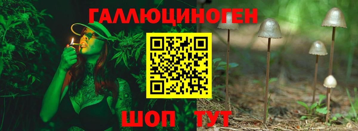 Ржев  Псилоцибиновые грибы Psilocybe  Псилоцибиновые грибы мицелий  Вход с VPN 